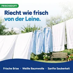 Weiße Wäsche an der Leine: Klarbrise riecht wie frisch von der Leine